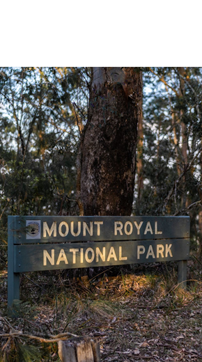 Mount-Royal-National-Park